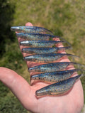 "Smoke Show" Phantom Fluke 5"    8 Pack