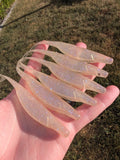 Phantom Fluke 5" "Spectral Shad" 8 Pack