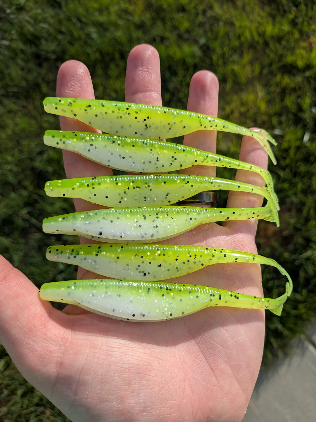 "Chart Pearl" Phantom Fluke 5" 8 Pack