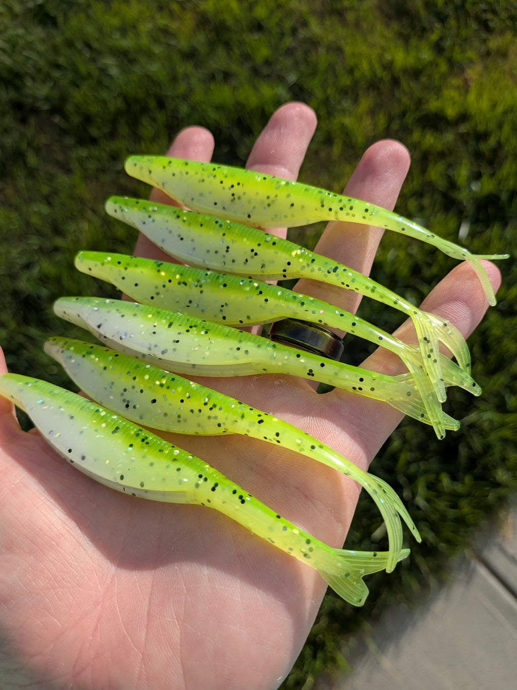 "Chart Pearl" Phantom Fluke 5" 8 Pack
